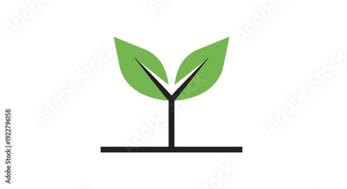 Green plant sprout with leaves growing.