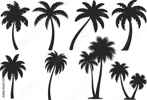 Set of tropical palm tree silhouettes isolated on white background, black vector coconut palms collection, summer beach design elements for logo, travel, nature illustration