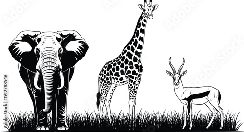 African safari wildlife silhouettes featuring elephant giraffe and gazelle standing in tall grass for nature savanna landscape and outdoor adventure travel icons