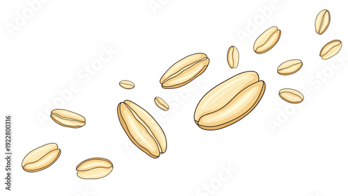 Scattering of whole oat grains and seeds falling or flying across a white background for cereal and granola product design.
