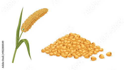 Illustration of a ripening millet plant with a golden ear and a heap of hulled millet grains on a white background.