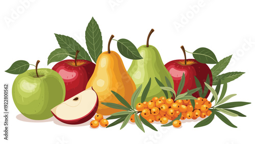Abundant collection of fresh apples, pears, and orange sea buckthorn berries with green leaves is shown in a colorful illustration.