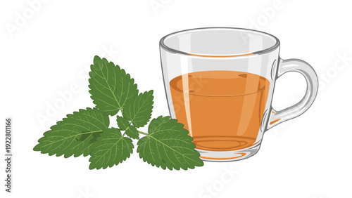 Glass cup filled with herbal tea next to fresh green mint leaves, representing a healthy and relaxing beverage for any time of day.
