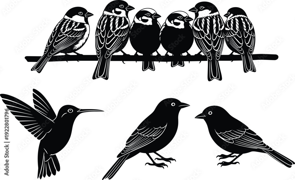 Fototapeta premium Set of bird silhouettes featuring sparrows on a branch hummingbird in flight and songbirds for nature wildlife avian icons and spring designs