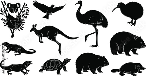 Set of Australian animal silhouettes including kangaroo koala emu platypus wombat kiwi echidna turtle and lizards for nature wildlife zoo and outback icons