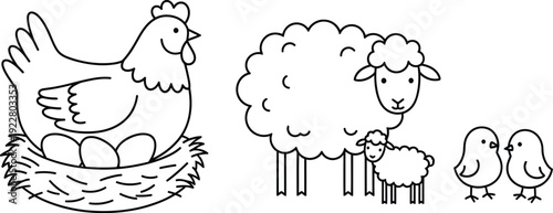 Farm animals illustrations featuring chickens and sheep in various scenes together