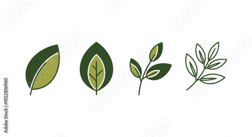 Olive leaf Line art dynamic creative tone vector