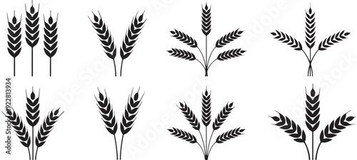 wheat stalk silhouette vector icons set of twelve designs