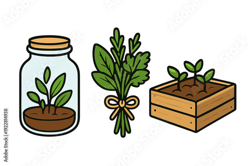 A set of three gardening illustrations featuring a small plant in a glass terrarium jar, a bundle of fresh green herbs tied with a bow, and seedlings growing in a wooden crate.