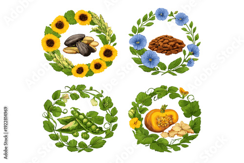 Four botanical wreaths on a black background featuring sunflowers, flax, peas, and pumpkins with their respective seeds and fruits in a detailed hand-drawn illustration style.