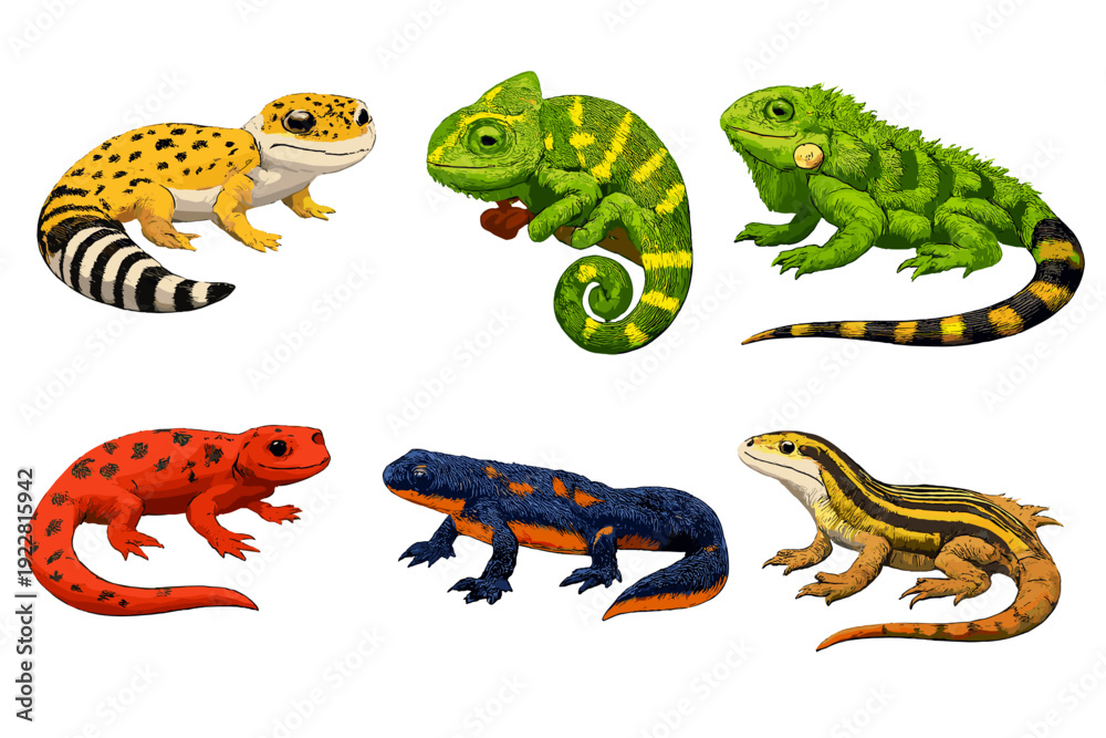 Fototapeta premium Six vibrant digital illustrations of various reptiles and amphibians like geckos and chameleons are displayed on a black background, featuring detailed textures and bright colors.