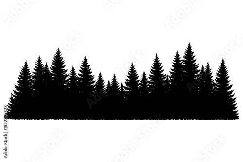Black silhouette of evergreen trees against white background.