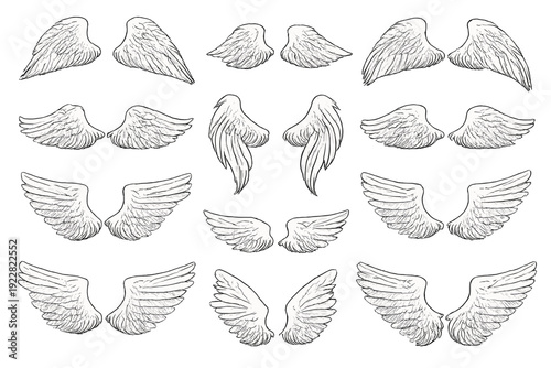 This illustration features eleven different pairs of white sketched wings arranged in a grid on a black background, showcasing various feather patterns and wing shapes.