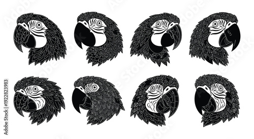 Stylized black and white illustrations of macaw parrot heads in a grid