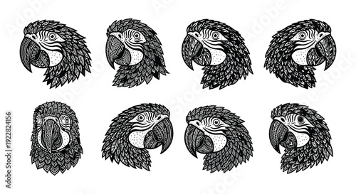 Stylized black and white illustrations of macaw parrot heads in a grid