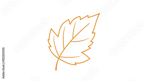 Simple orange line drawing of a single deciduous tree leaf showing the intricate vein structure and serrated edges on a clean white background.