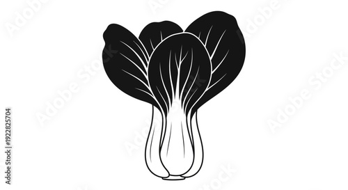 Black and white illustration of a fresh bok choy vegetable with crisp leaves and thick white base healthy food concept