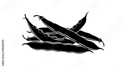 Black and white illustration of broad beans or fava beans with pods and seeds on a white background organic produce healthy eating simple design