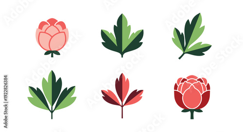 Peony leaf Line art soft clean color vector