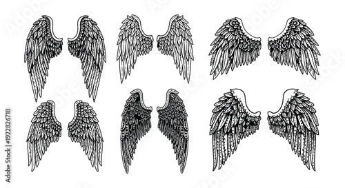 Four pairs of sketched wings in varying styles and shades