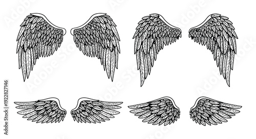 Four pairs of sketched wings in varying styles and shades