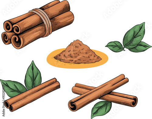 Cinnamon sticks and powder illustration, aromatic spice collection, herbal leaves, cooking ingredient concept, isolated on white background, vector design