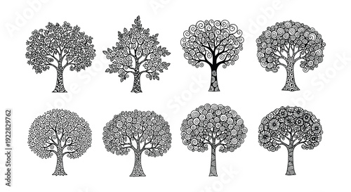 Detailed illustrations of six diverse trees in a black and white style