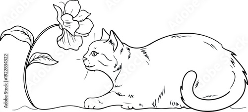 Curious Kitten Vector Set Cat Sniffing Flower Silhouette