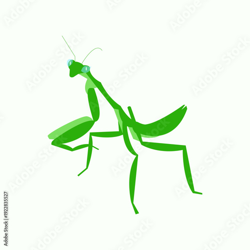 Green Praying Mantis Flat Vector Illustration – Wildlife Insect