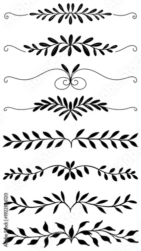 Decorative vignettes and ornaments on a transparent background