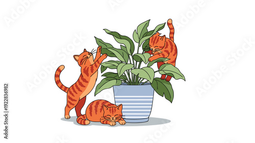 Three playful ginger tabby cats climbing and sleeping around a large leafy green houseplant in a blue striped ceramic pot on a white background.