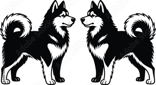 Siberian Husky dog silhouettes, mirrored composition, black and white markings, thick fur, erect ears, curled tail, symmetrical vector artwork, animal illustration, nature design