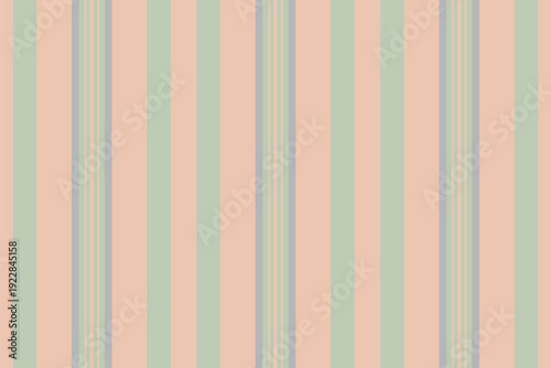 Mexican seamless vector background, idea fabric pattern texture. Seasonal vertical textile lines stripe in light and pastel colors.