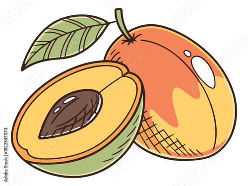 vector illustration of an apple