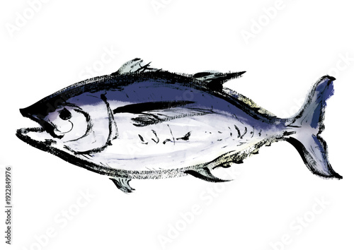 マグロの和風筆書きイラスト
