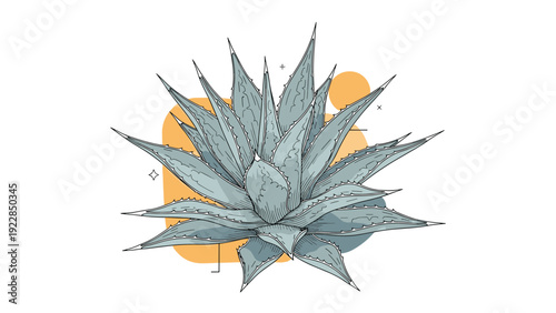 Detailed illustration of an agave succulent plant with sharp pointed leaves and orange abstract shapes on a white background.
