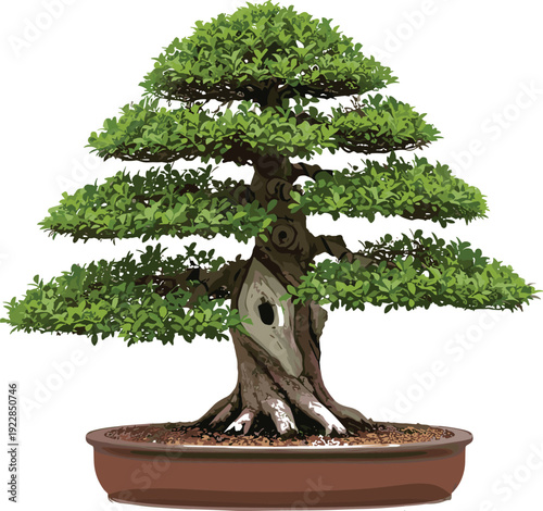 Bonsai tree in brown pot with green leaves and thick trunk
