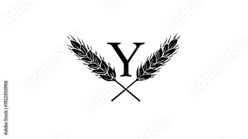 Letter Y with crossed wheat ears on white background, a symbol for harvest, agriculture, baking, or natural food concepts