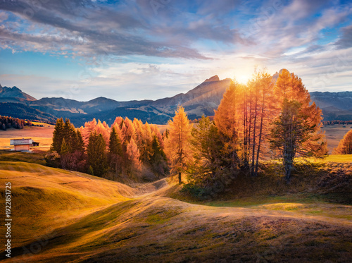 Astonishing morning view of Alpe di Siusi mountain plateau with beautiful yellow larch trees and Langkofel peak on background. Marvelous autumn sunrise in Dolomite Alps, Italy.