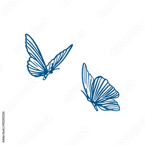 Butterflies with graceful wings fluttering in the air. Hand drawn vector illustration in line art style. Monochrome clip art for cards, invitations and tattoos.