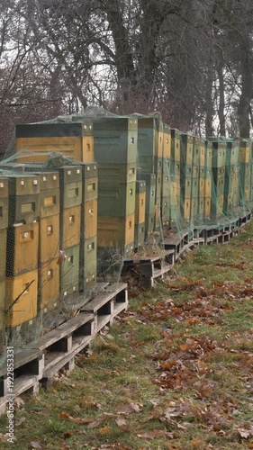 Wallpaper Mural Overcast winter scene showing styrofoam beehives protected with bird netting during cold season, highlighting modern beekeeping practices and hive winterization Torontodigital.ca