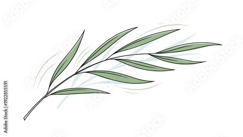 Simple elegant line drawing illustration of a leafy willow or olive branch with long narrow leaves on a white background.