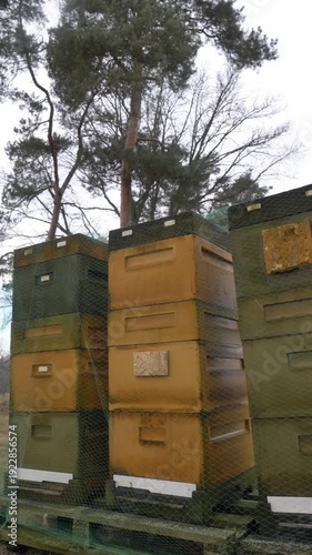 Wallpaper Mural Overcast winter scene showing styrofoam beehives protected with bird netting during cold season, highlighting modern beekeeping practices and hive winterization Torontodigital.ca