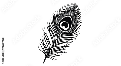 A detailed black and white illustration of a single peacock feather
