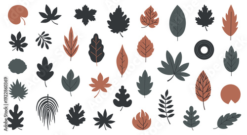 Diverse collection of autumn leaf silhouettes and colored leaves in brown, gray, and black tones for seasonal nature designs.