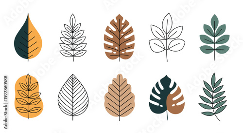 Assorted tropical and forest leaf illustrations in line art and colored flat styles including monstera and fern on white background.