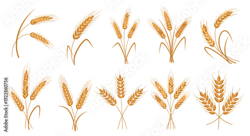 Set of golden wheat icons showing different arrangements of ears and stems for agricultural and food product design.