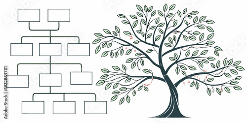 Contrast between hierarchical organizational chart and natural tree structure visualization