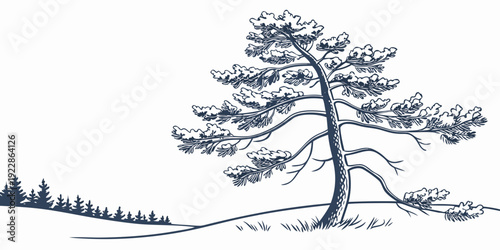 A lone pine tree standing tall against a minimalist horizon with distant forest outlines