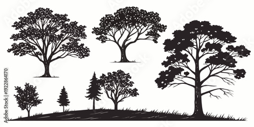 Silhouettes of trees against a light sky with a small hill in the background